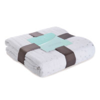 Муслиновое одеяло Aden Anais Silver Deco