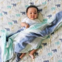 Набор пеленок Expedition,Aden+ Anais, 3 шт. - Зображення 4