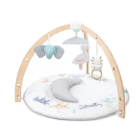 Розвиваючий килимок з дугами aden+anais